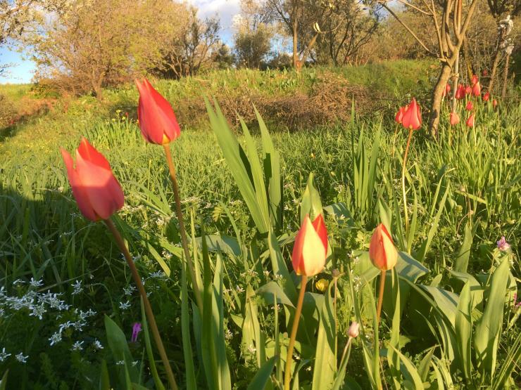 Η φωτογραφία της ημέρας