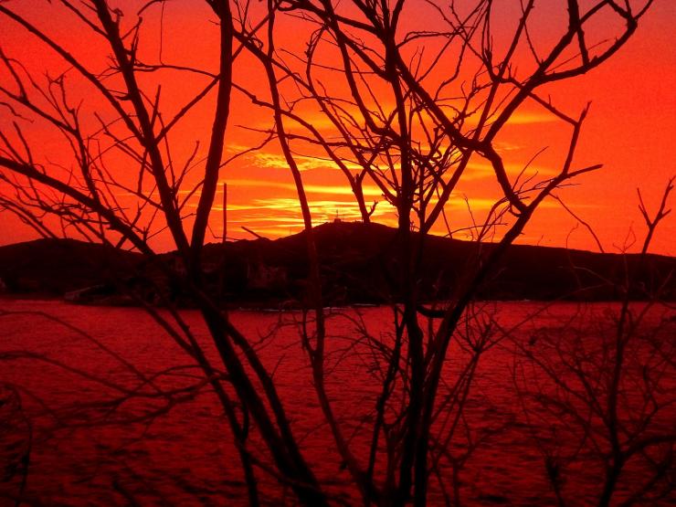 Η φωτογραφία της ημέρας