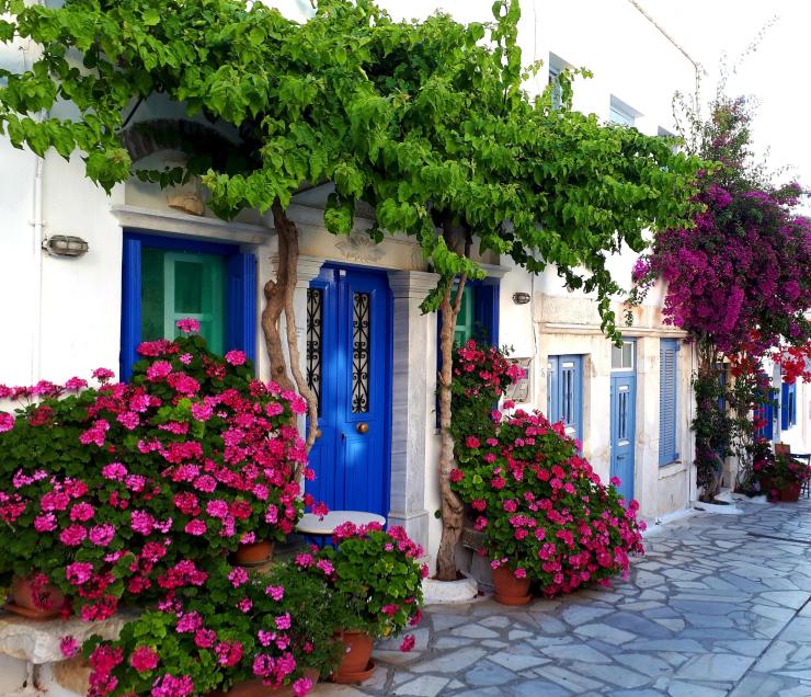 Η φωτογραφία της ημέρας