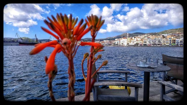 Η φωτογραφία της ημέρας