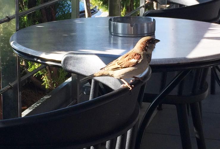 Η φωτογραφία της ημέρας