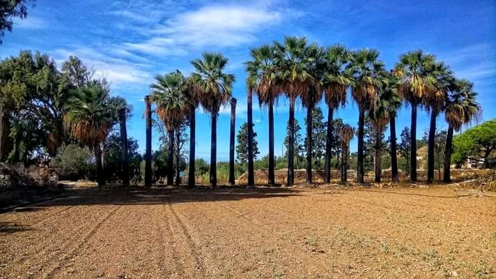 Η φωτογραφία της ημέρας