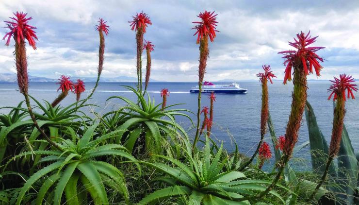 Η φωτογραφία της ημέρας