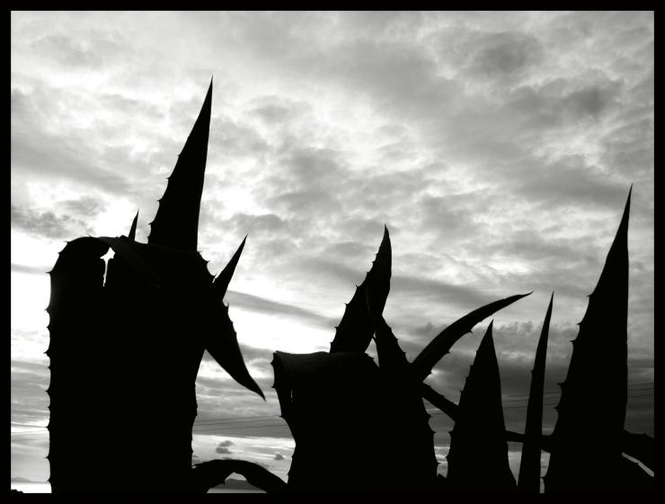 Η φωτογραφία της ημέρας