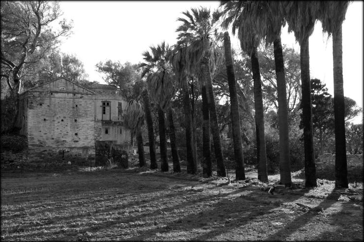 Η φωτογραφία της ημέρας