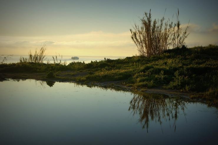 Η φωτογραφία της ημέρας