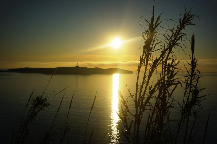 Η φωτογραφία της ημέρας