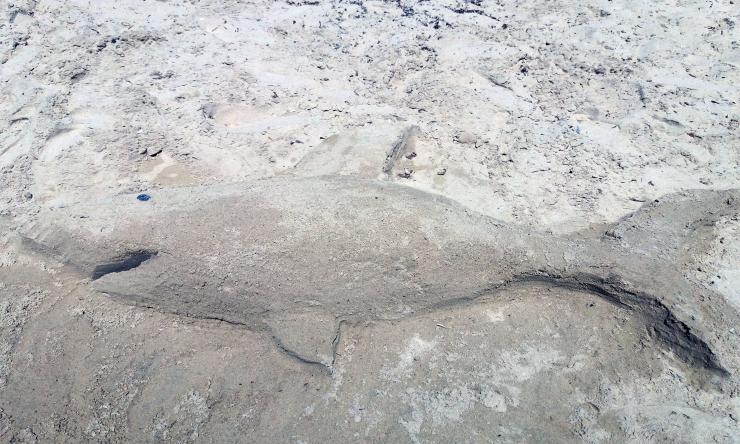 Η φωτογραφία της ημέρας