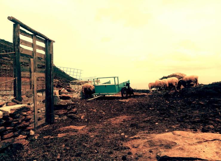 Η φωτογραφία της ημέρας