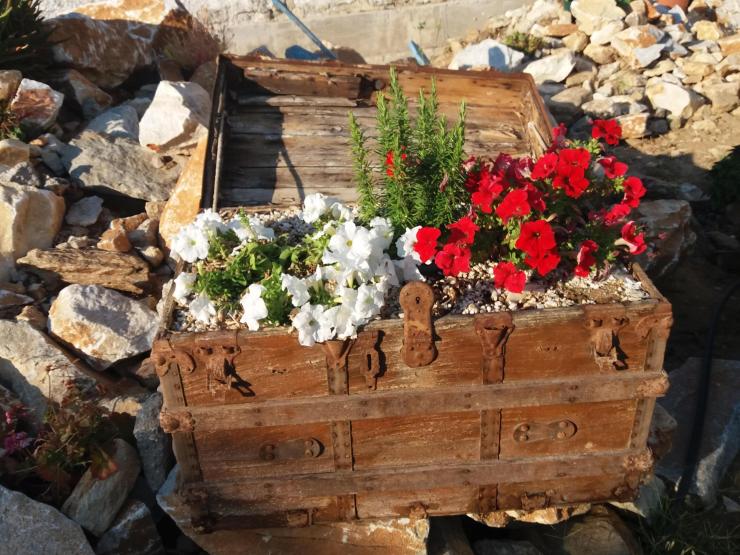 Η φωτογραφία της ημέρας