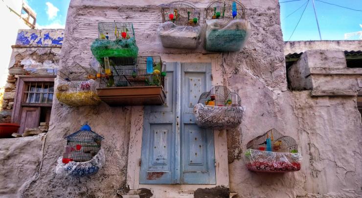 Η φωτογραφία της ημέρας