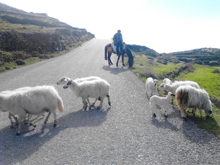 Η φωτογραφία της ημέρας