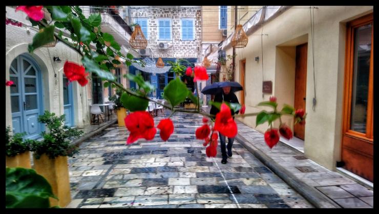 Η φωτογραφία της ημέρας