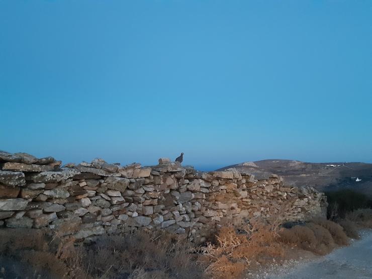 Η φωτογραφία της ημέρας