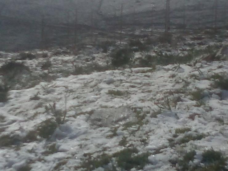 Η φωτογραφία της ημέρας