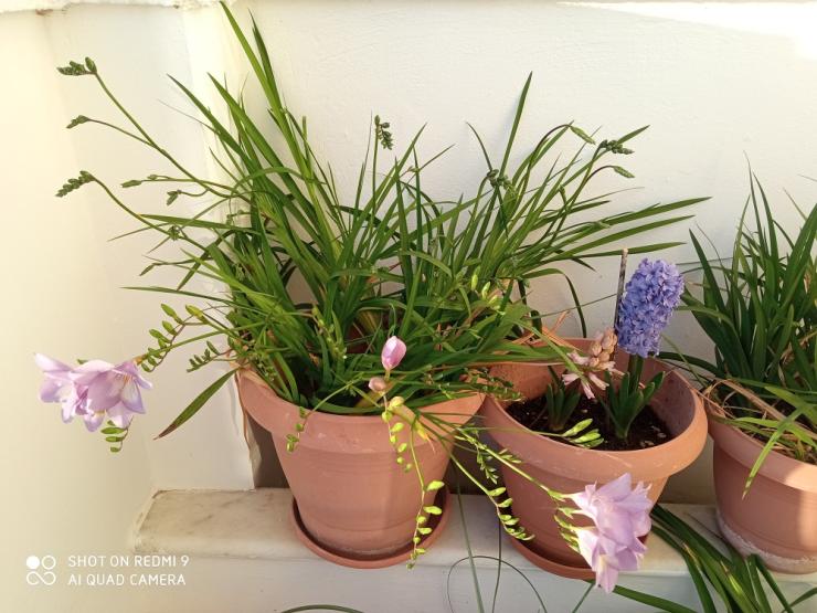 Η φωτογραφία της ημέρας