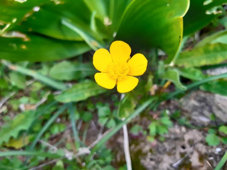 Η φωτογραφία της ημέρας