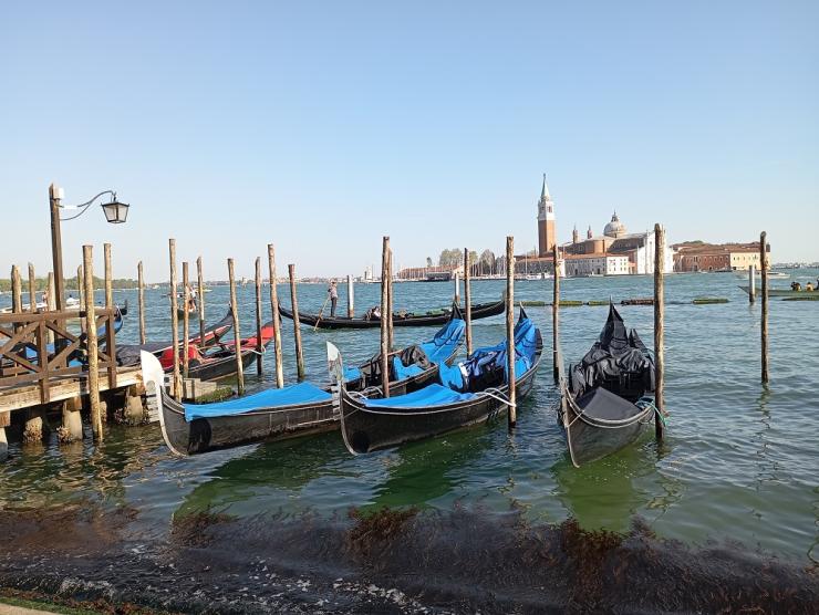 Η φωτογραφία της ημέρας