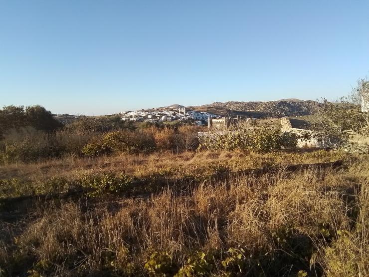 Η φωτογραφία της ημέρας