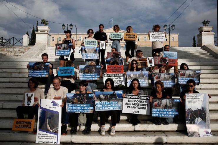 Χωρίς τέλος η κακοποίηση των ιπποειδών στη Σαντορίνη