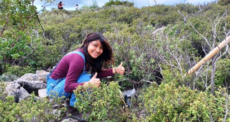 Ρόδος: Η περιβαλλοντική οργάνωση που κάνει αναδασώσεις έγινε πρωτοσέλιδο στη Le Monde