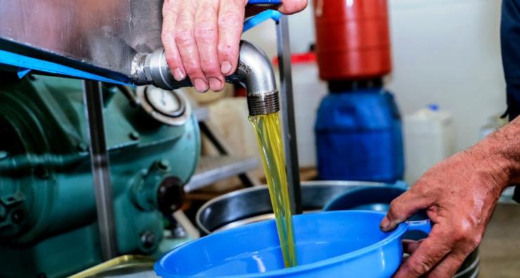 Τα ελαιοτριβεία της φοροδιαφυγής: Έκρυβαν έσοδα πάνω από 80 εκατ. ευρώ