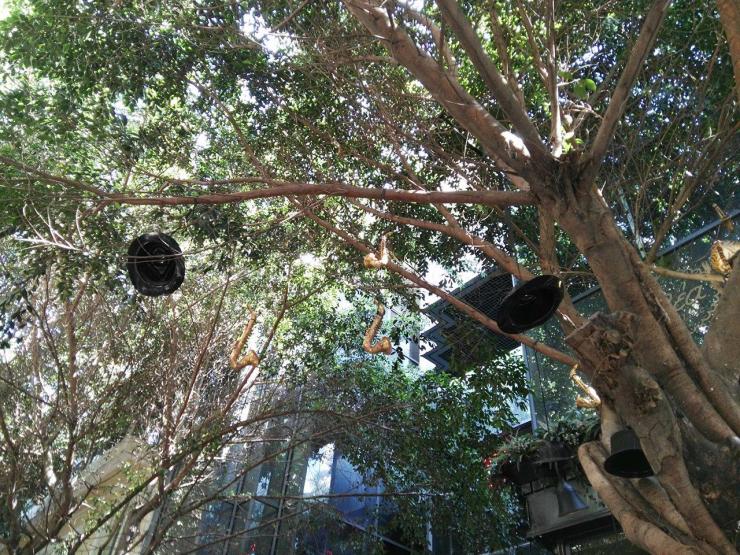 Η φωτογραφία της ημέρας