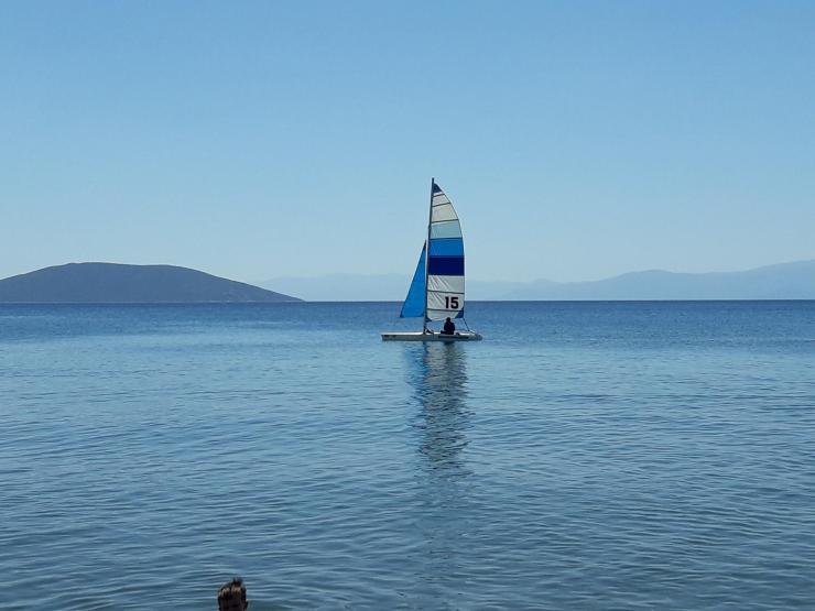 Η φωτογραφία της ημέρας