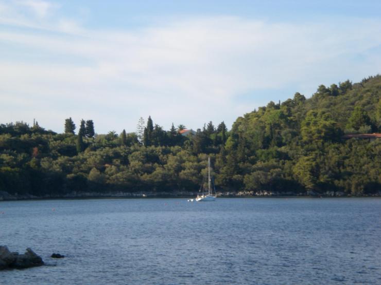 Η φωτογραφία της ημέρας