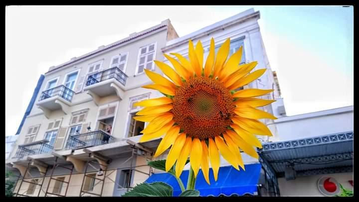 Η φωτογραφία της ημέρας