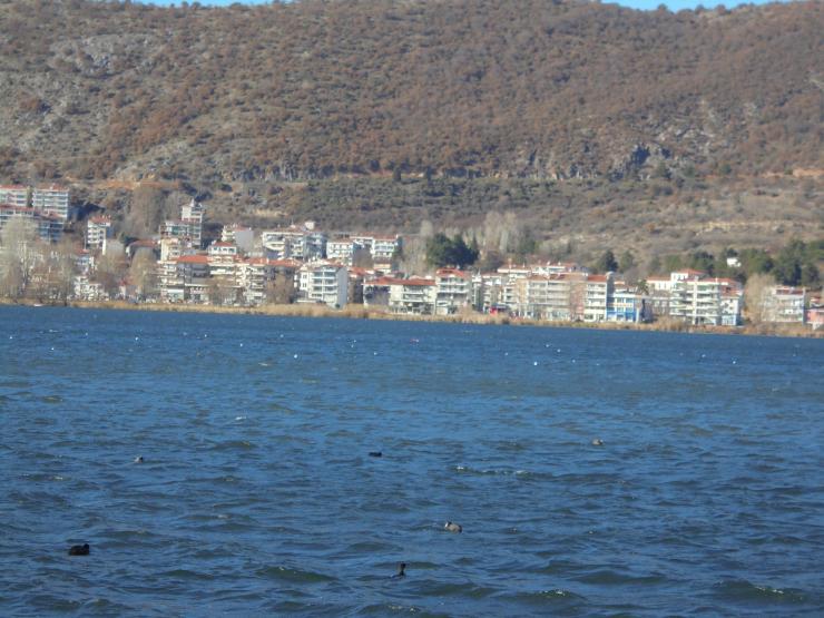 Η φωτογραφία της ημέρας