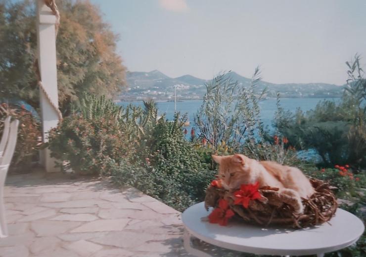 Η φωτογραφία της ημέρας