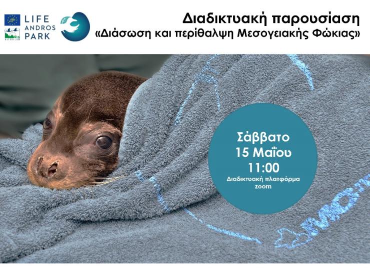 Διάσωση και Περίθαλψη της Μεσογειακής Φώκιας