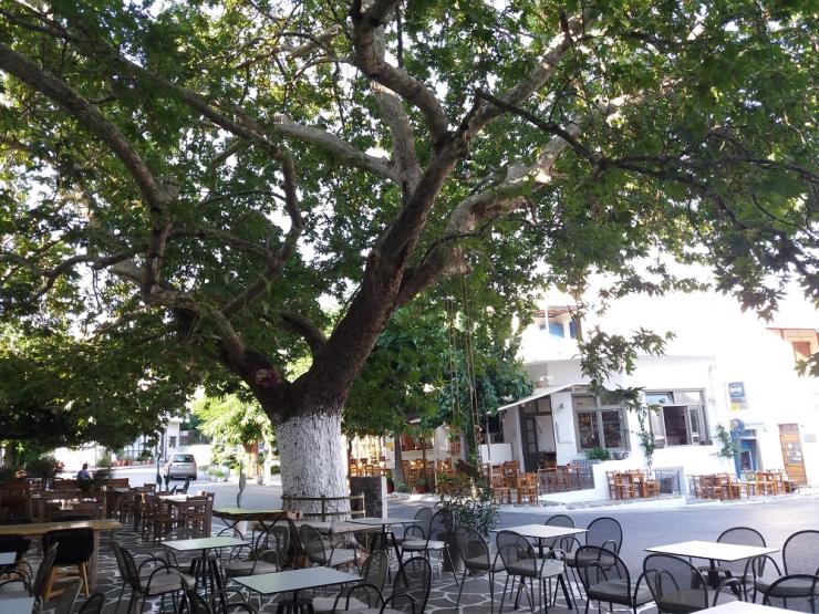 Φωτογραφία της ημέρας