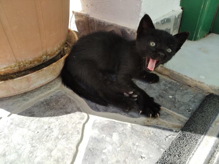 Φωτογραφία της ημέρας