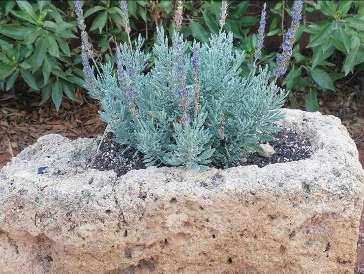 Φωτογραφία της ημέρας