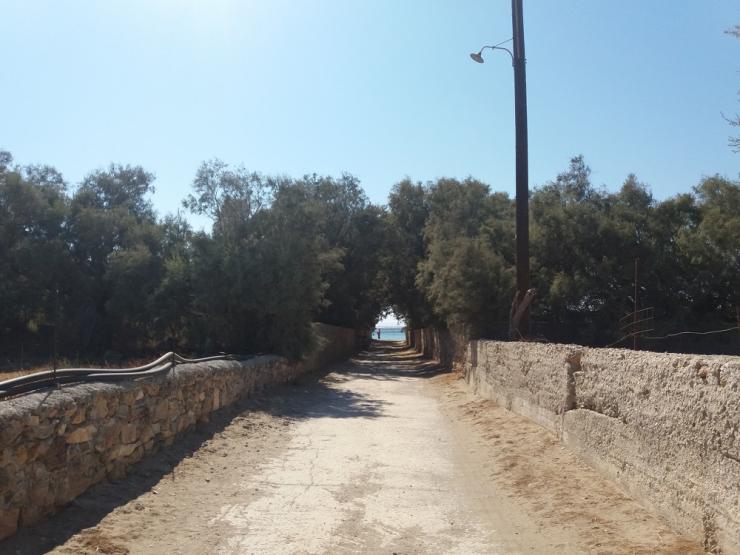 Φωτογραφία της ημέρας