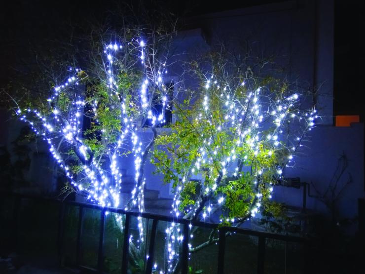 Η φωτογραφία της ημέρας