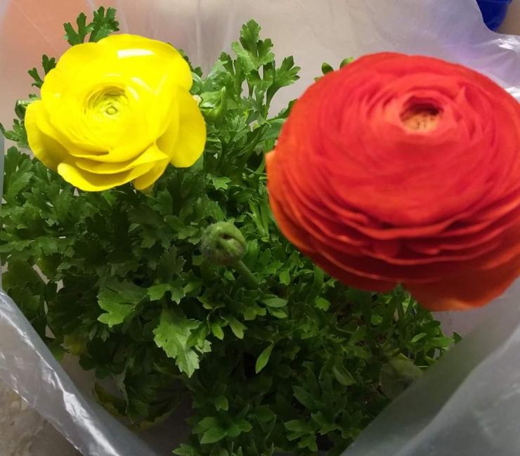 Η φωτογραφία της ημέρας