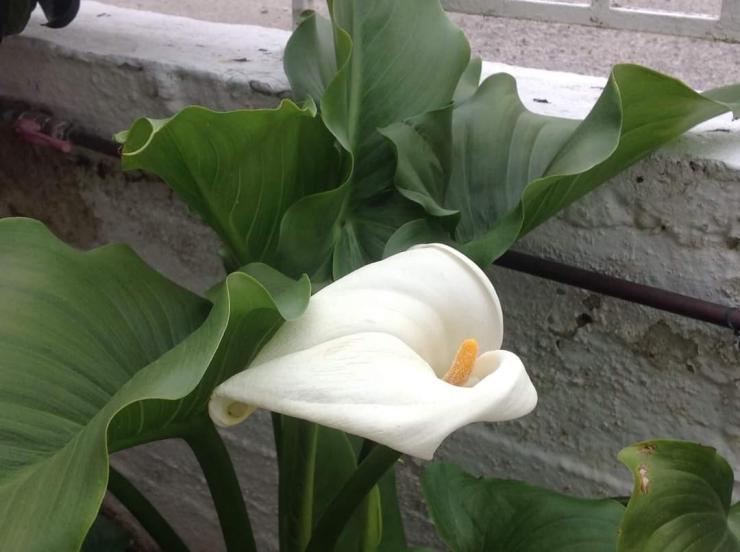 Η φωτογραφία της ημέρας