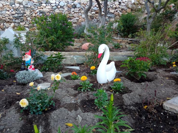 Η φωτογραφία της ημέρας