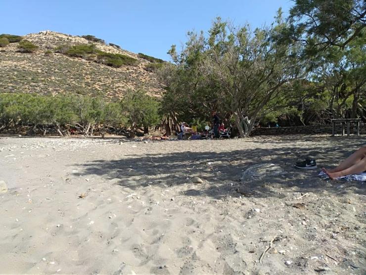 Η φωτογραφία της ημέρας