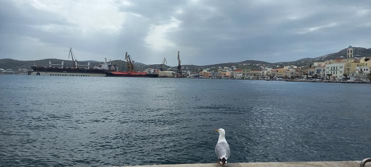 Η φωτογραφία της ημέρας