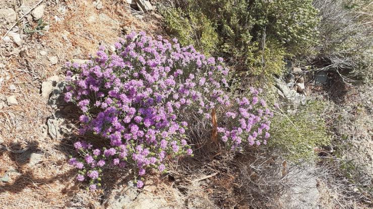 Η φωτογραφία της ημέρας