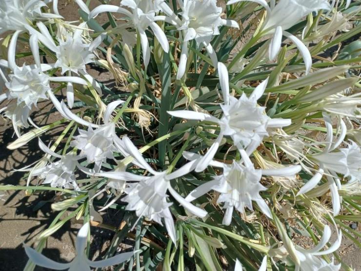 Η φωτογραφία της ημέρας