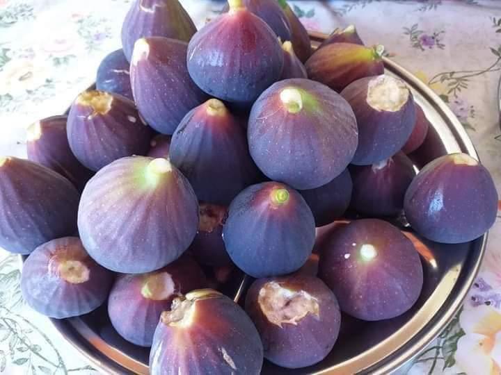 Η φωτογραφία της ημέρας