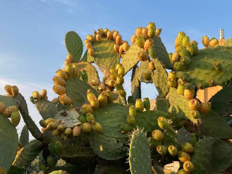 Η φωτογραφία της ημέρας