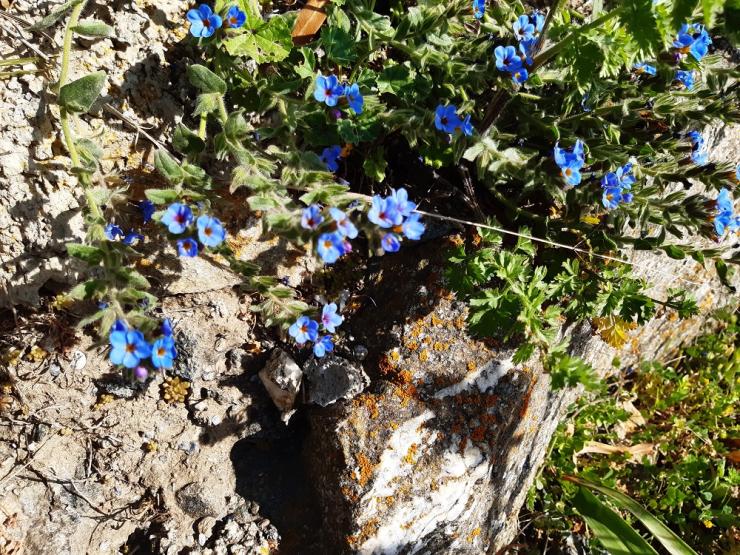 Η φωτογραφία της ημέρας