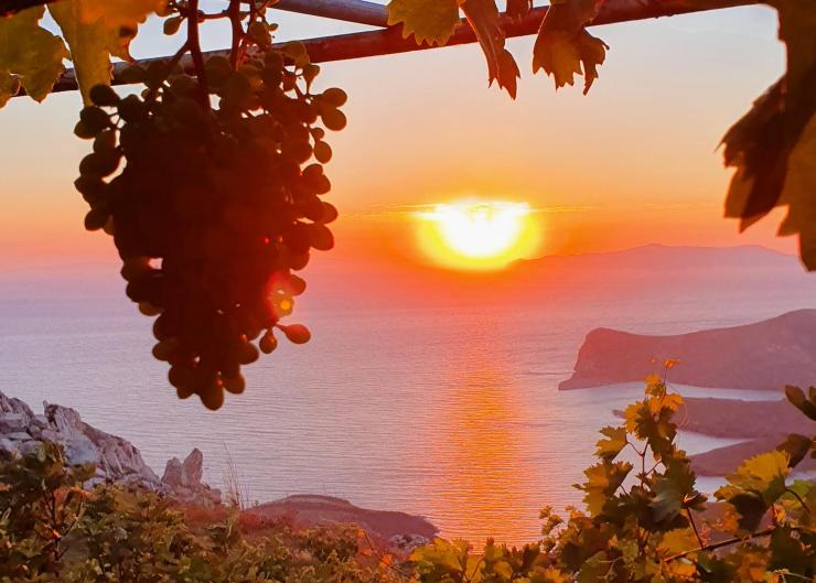 Η φωτογραφία της ημέρας