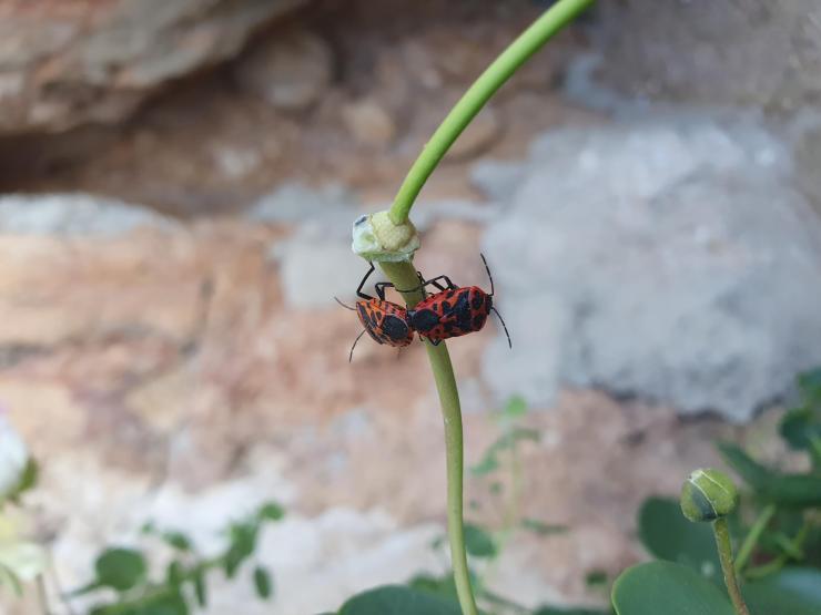 Η φωτογραφία της ημέρας